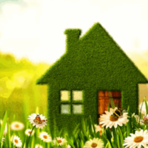 Green N Lean Home Renovation